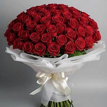 Букет 101 Красная роза Блэк Мэджик в Григорово Новгородская область