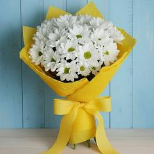 Букет цветов из:  Хризантемы в Григорово Новгородская область