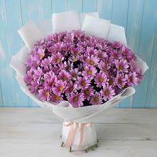 Букет цветов из:  Хризантемы в Григорово Новгородская область