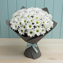 Букет цветов из:  Хризантемы в Григорово Новгородская область