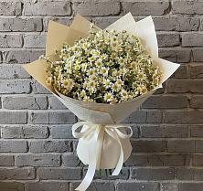Букет цветов из:  Ромашки #REPLACE_PRED# Григорово Новгородская область