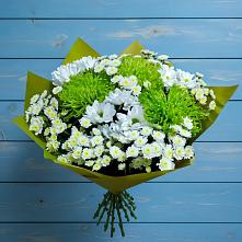 Букет цветов из:  Хризантемы в Григорово Новгородская область