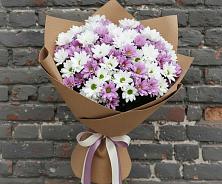 Букет цветов из:  Хризантемы #REPLACE_PRED# Григорово Новгородская область