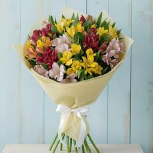 Букет цветов из:  Альстромерии #REPLACE_PRED# Григорово Новгородская область