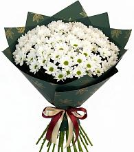 Букет цветов из:  Хризантемы в Григорово Новгородская область