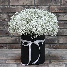 Цветочная композиция из Гипсофила в шляпной коробке в Григорово Новгородская область