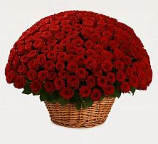 Премиум букет из: Розы #REPLACE_PRED# Григорово Новгородская область