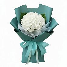 Букет цветов из:  Гортензия #REPLACE_PRED# Григорово Новгородская область